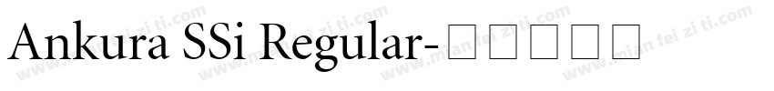 Ankura SSi Regular字体转换